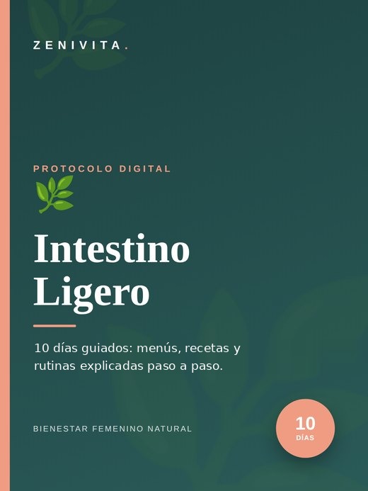 Protocolo Intestino Ligero